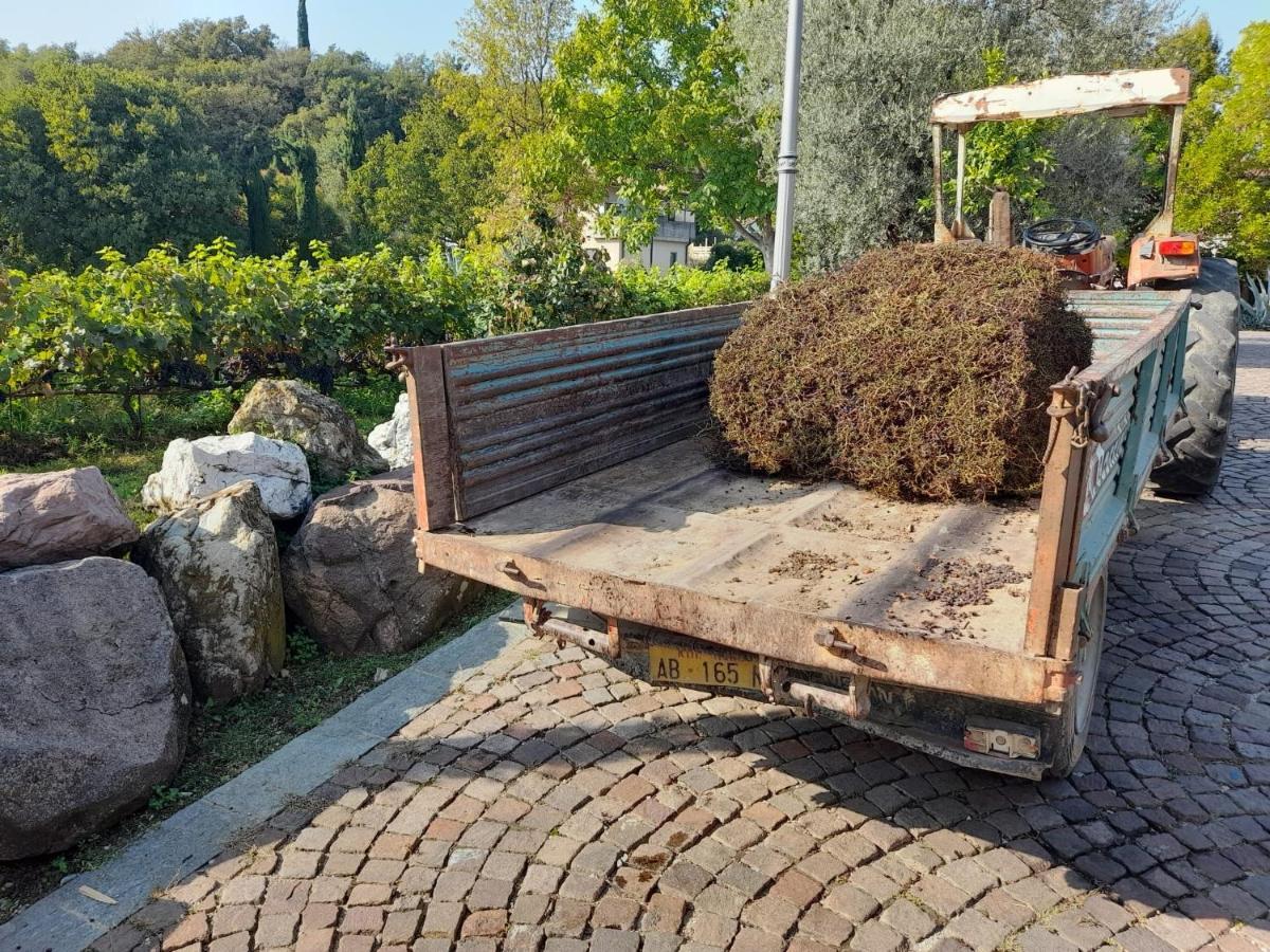 Casa El Paso Leilighet Padenghe sul Garda Eksteriør bilde